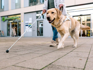 盲導犬と共に歩く