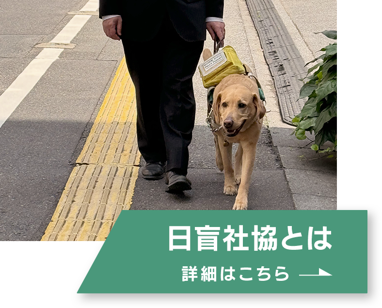 日盲社協とは、詳細はこちら